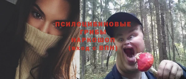 метадон Медвежьегорск