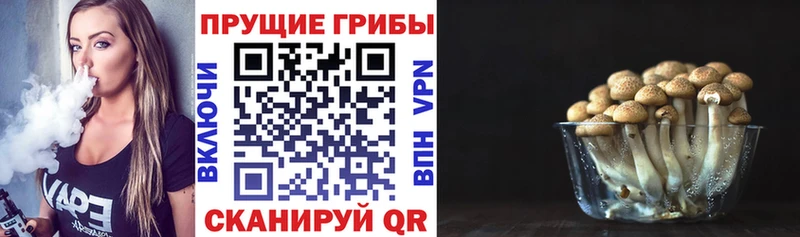 купить наркотики сайты  Исилькуль  Галлюциногенные грибы мухоморы 